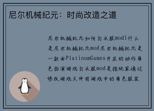 尼尔机械纪元：时尚改造之道